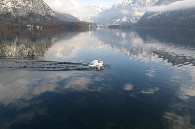 Fallnhauser - Adults Only Appartement Hallstatt